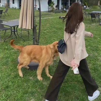 狄仁杰断案传奇第一部