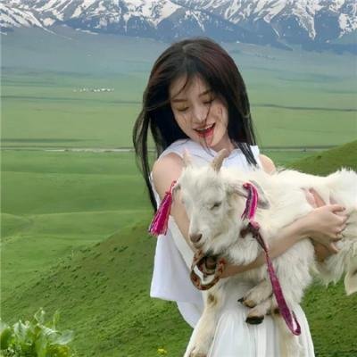 准教授高槻彰良的推测