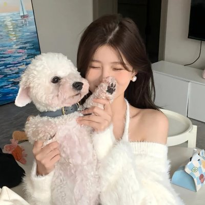 生命中的岛屿